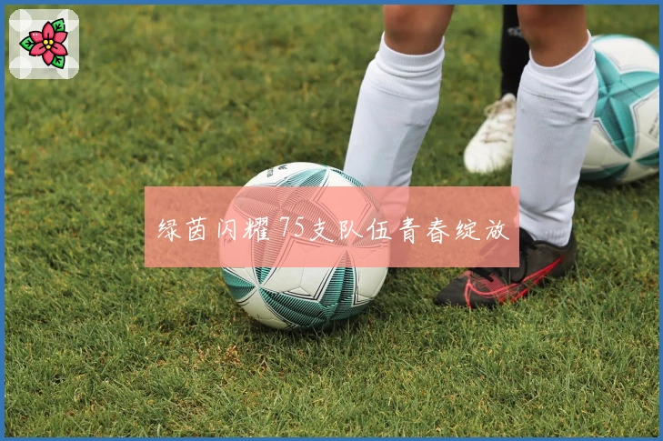 绿茵闪耀 75支队伍青春绽放