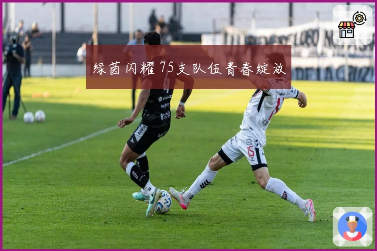 绿茵闪耀 75支队伍青春绽放